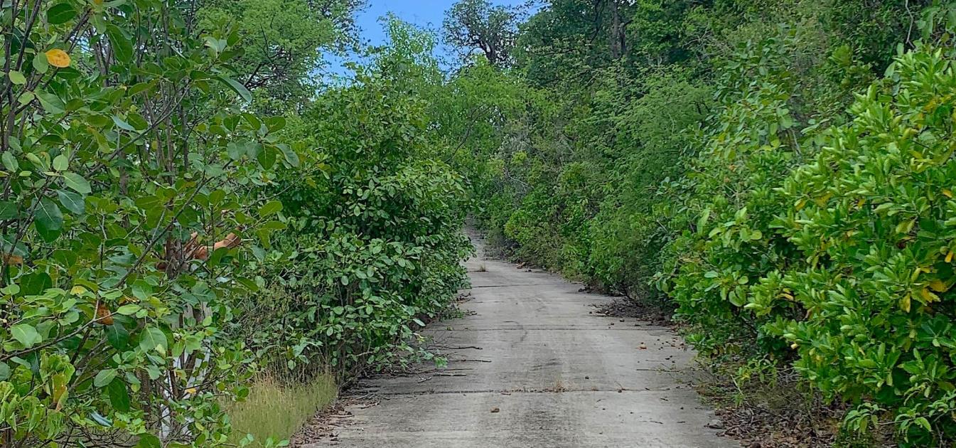 Friendship Heights Lot 31