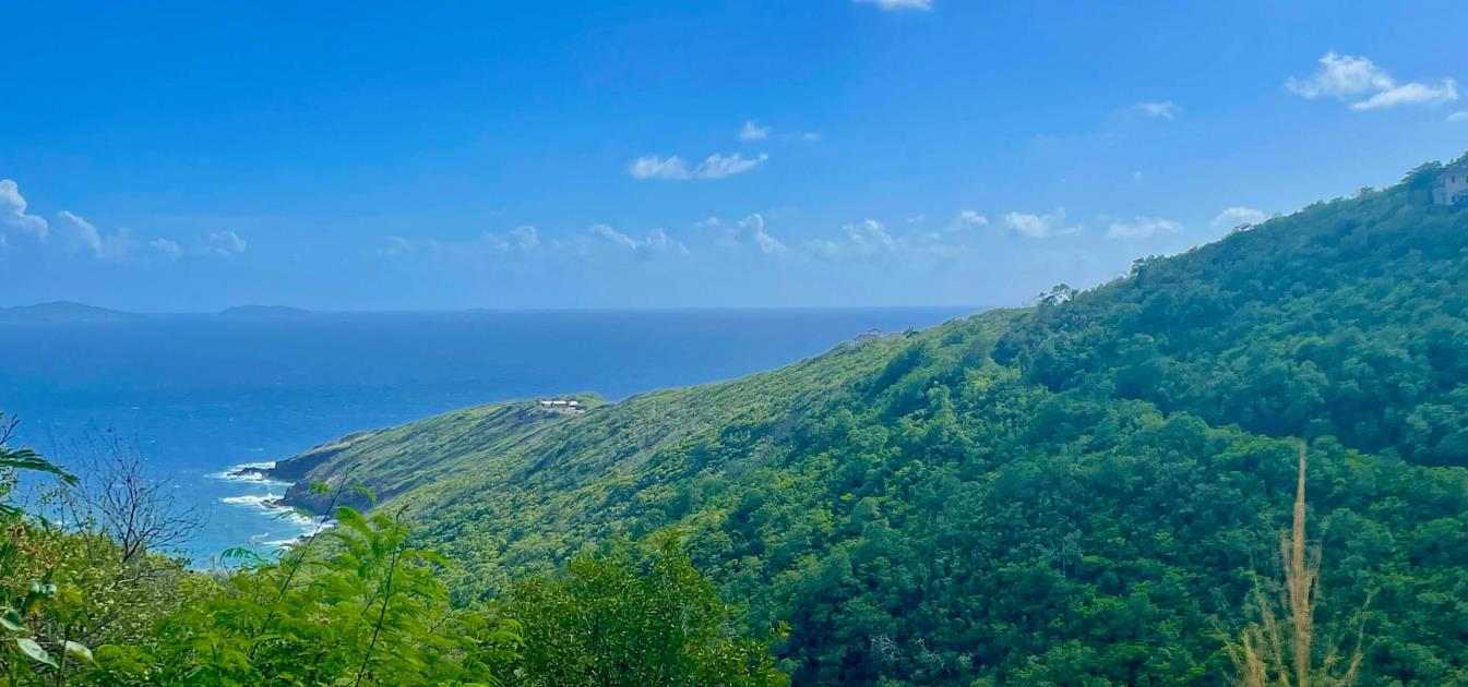 Friendship Heights Lot 31