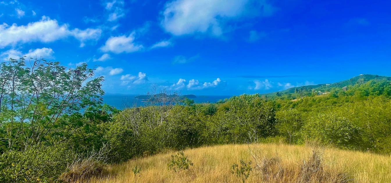 Mount Pleasant Land GR1633