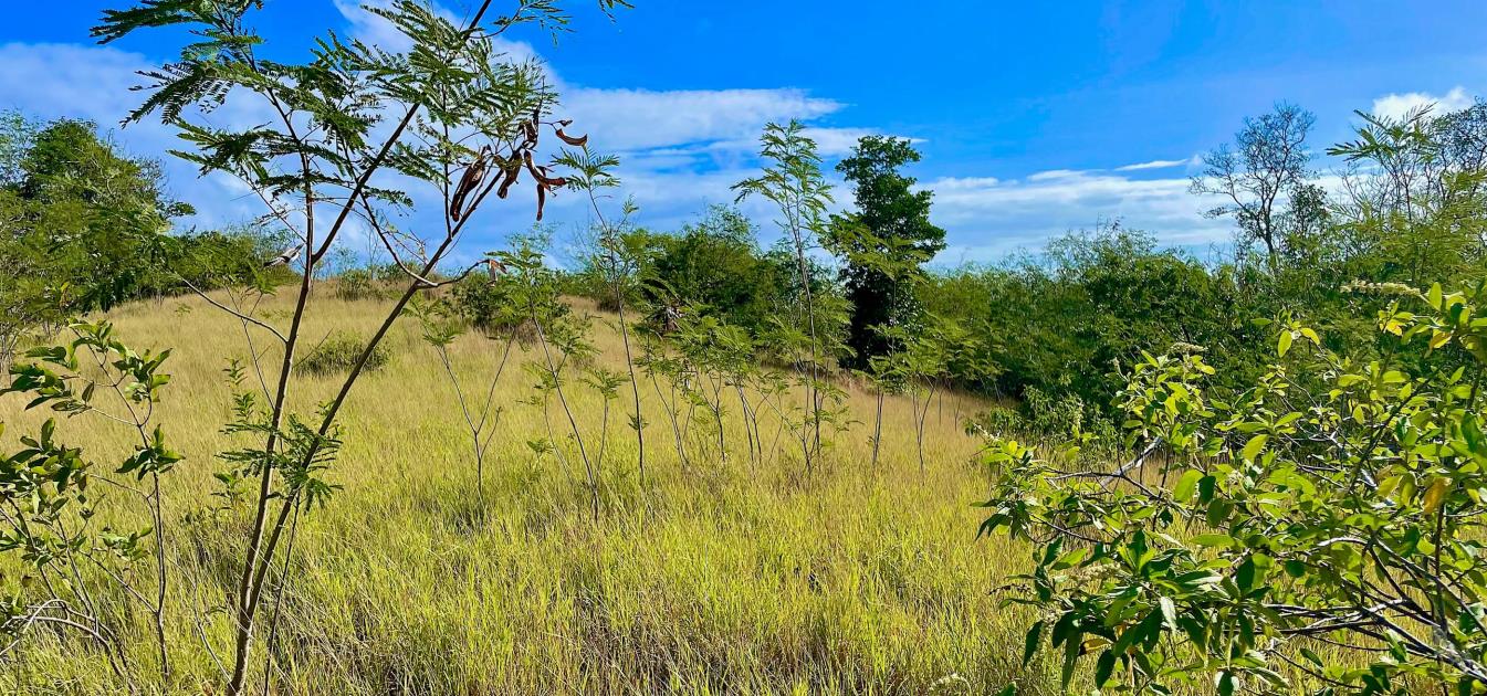 Mount Pleasant Land GR1633