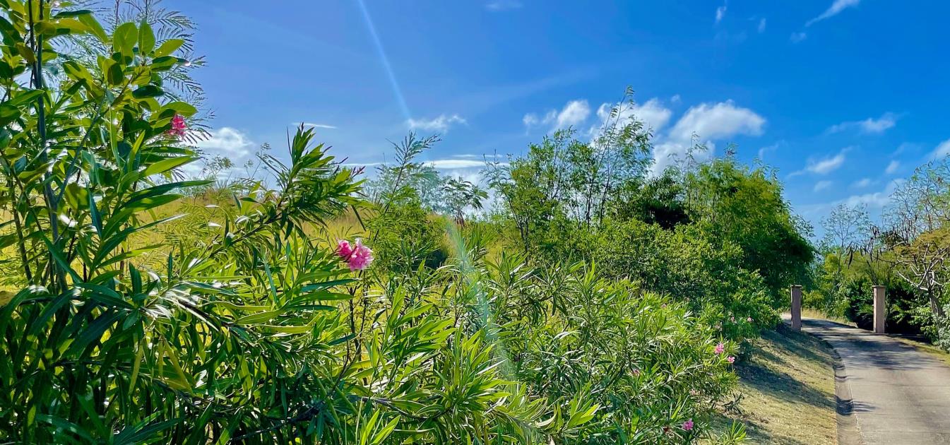 Mount Pleasant Land GR1633