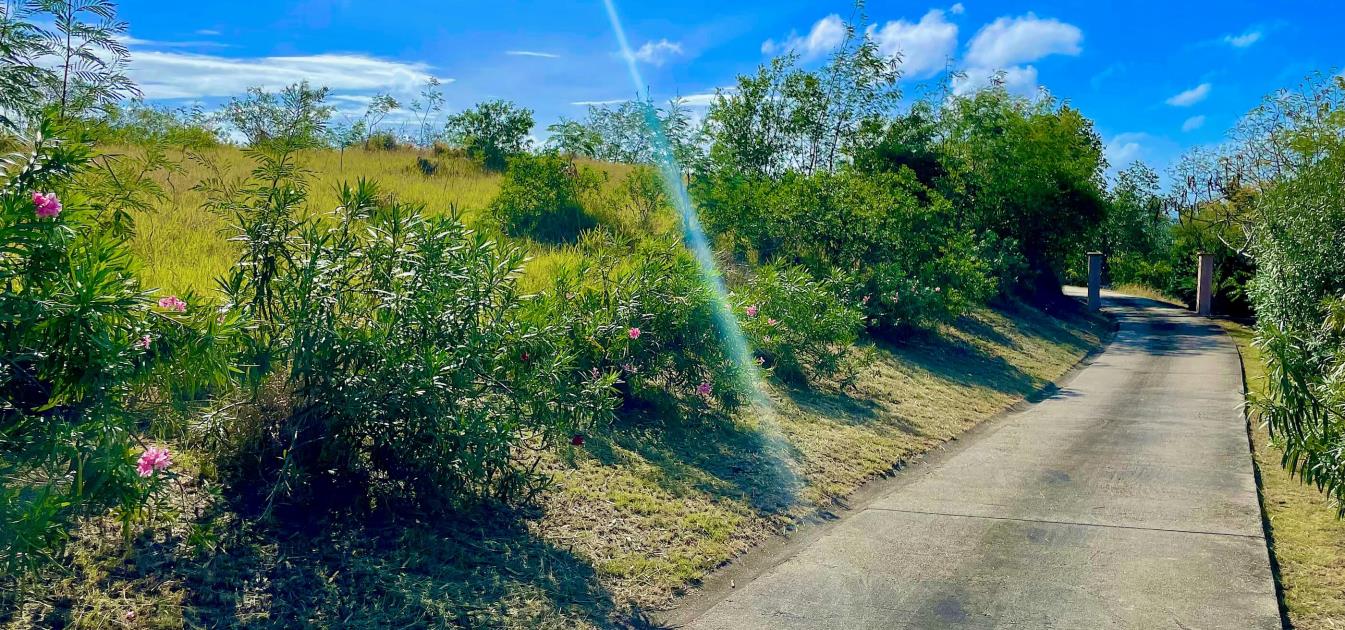 Mount Pleasant Land GR1633