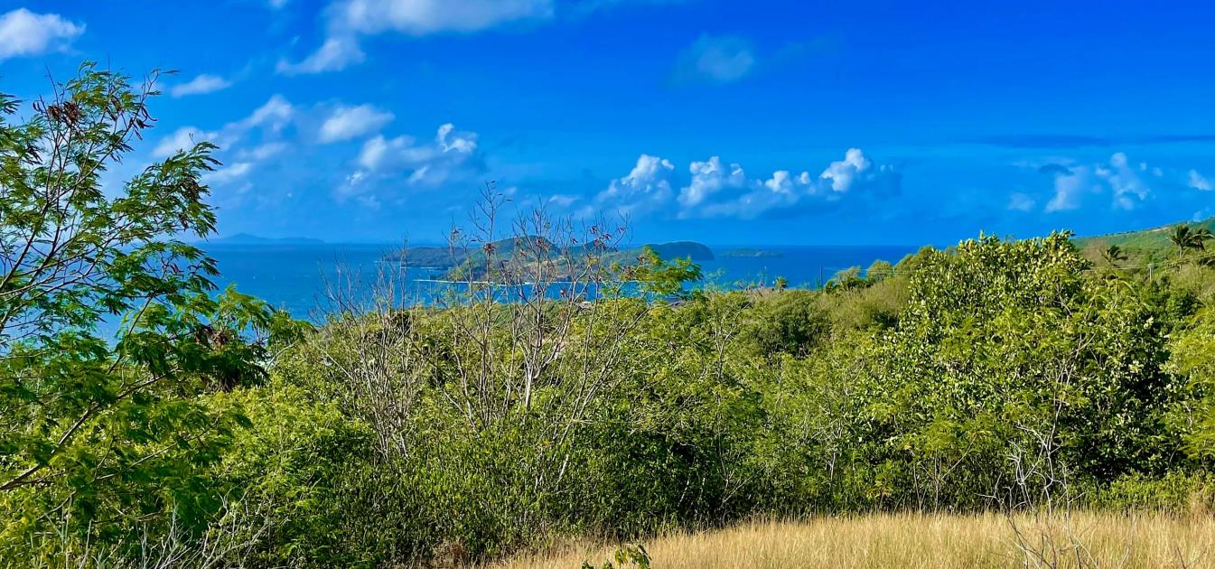 Mount Pleasant Land GR1633