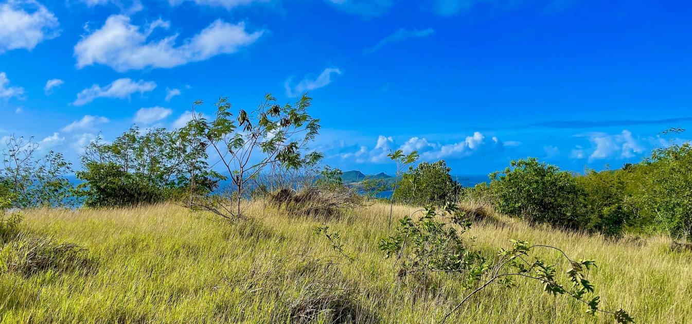 Mount Pleasant Land GR1633