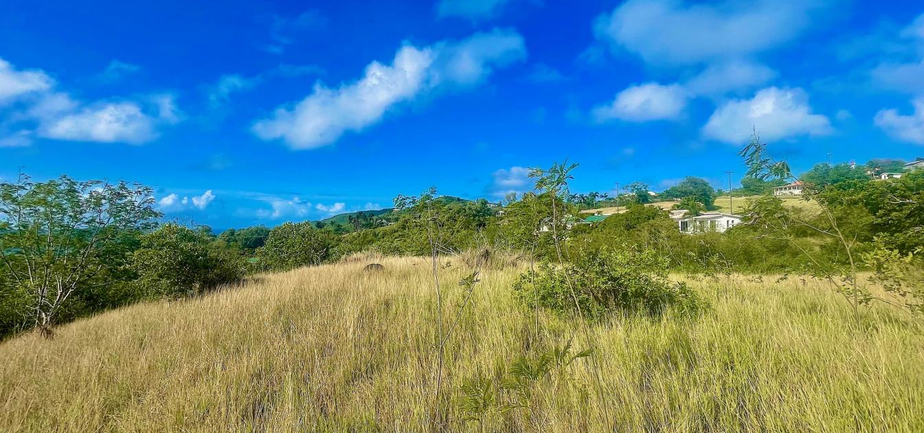 Mount Pleasant Land GR1633