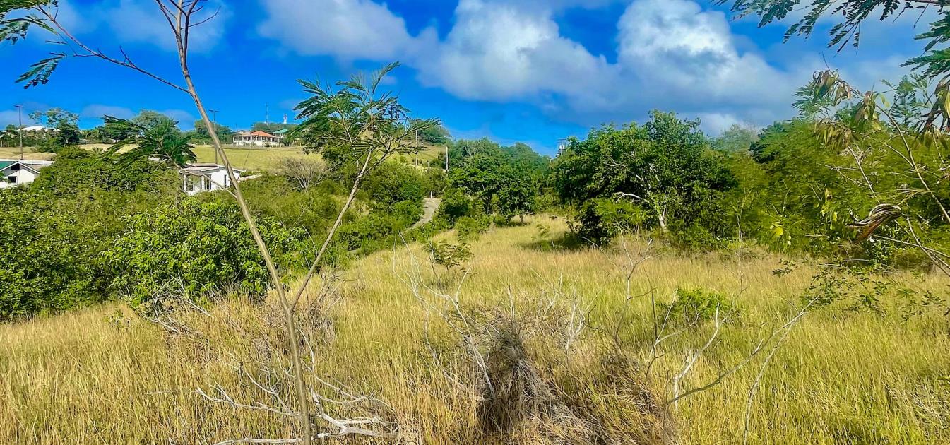 Mount Pleasant Land GR1633