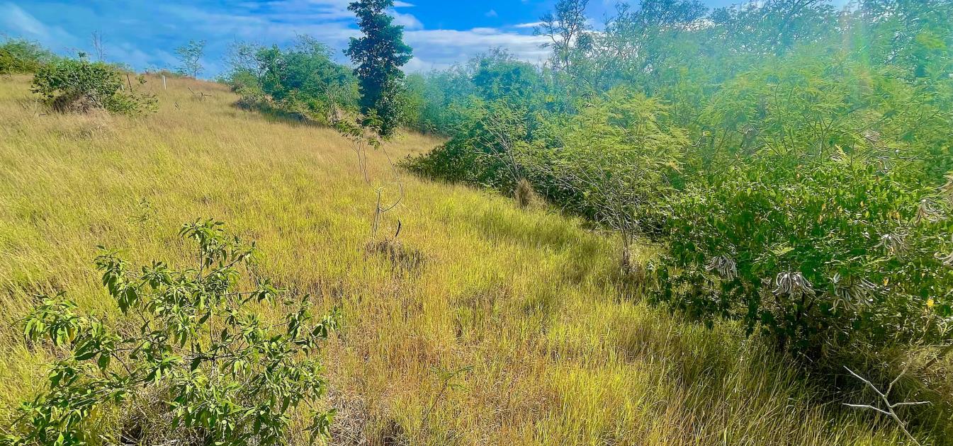 Mount Pleasant Land GR1633