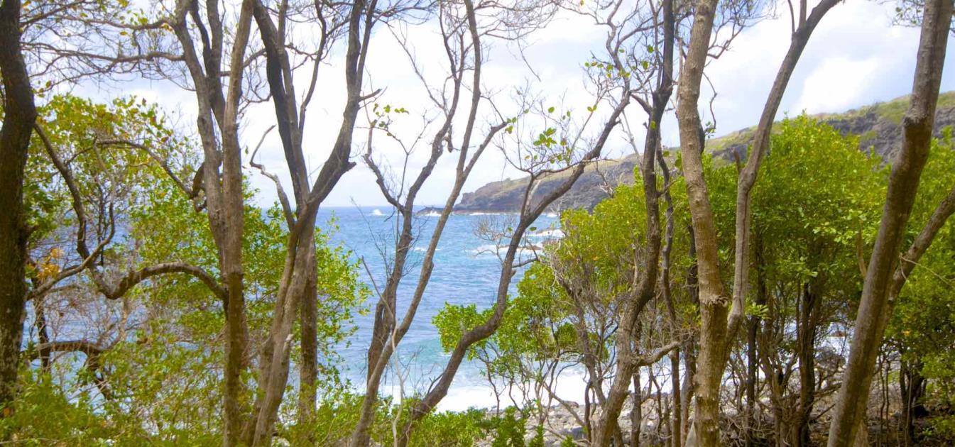 Rocky Bay Estate CONCEPT VILLA - Beachfront Largest - Lot 16 - 3.37 Acres