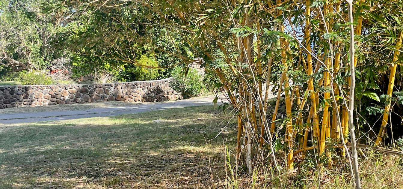 Mount Pleasant Land GR1646