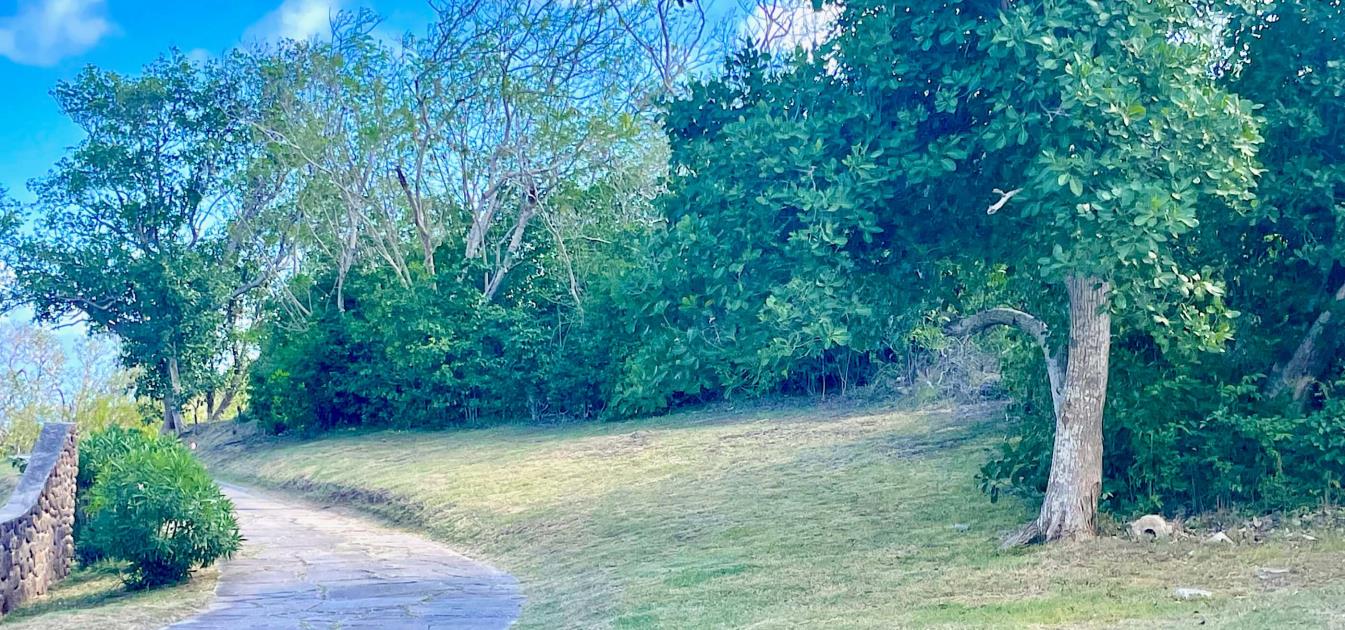 Mount Pleasant Land GR1646