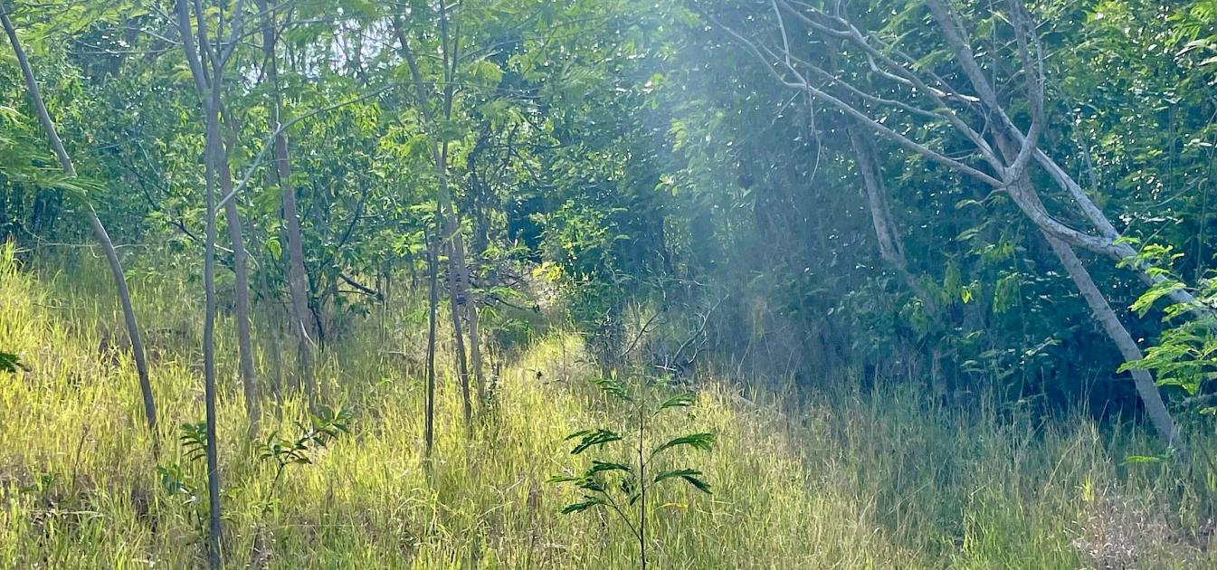 Mount Pleasant Land GR1646