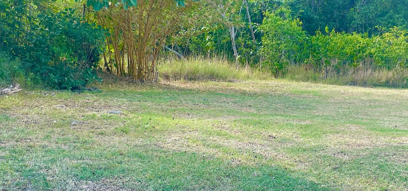 Mount Pleasant Land GR1646