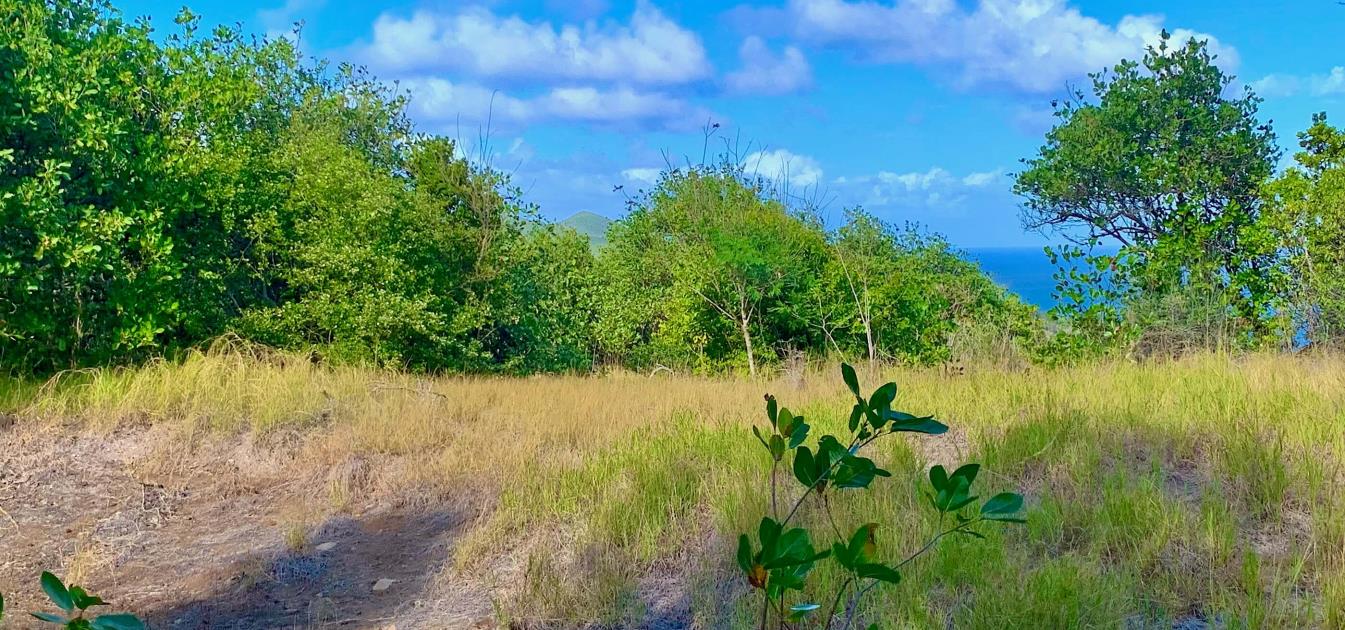 Mount Pleasant Land GR1634