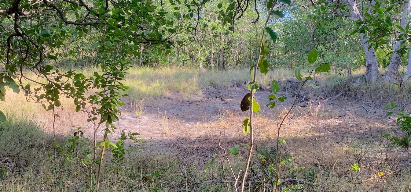 Mount Pleasant Land GR1634