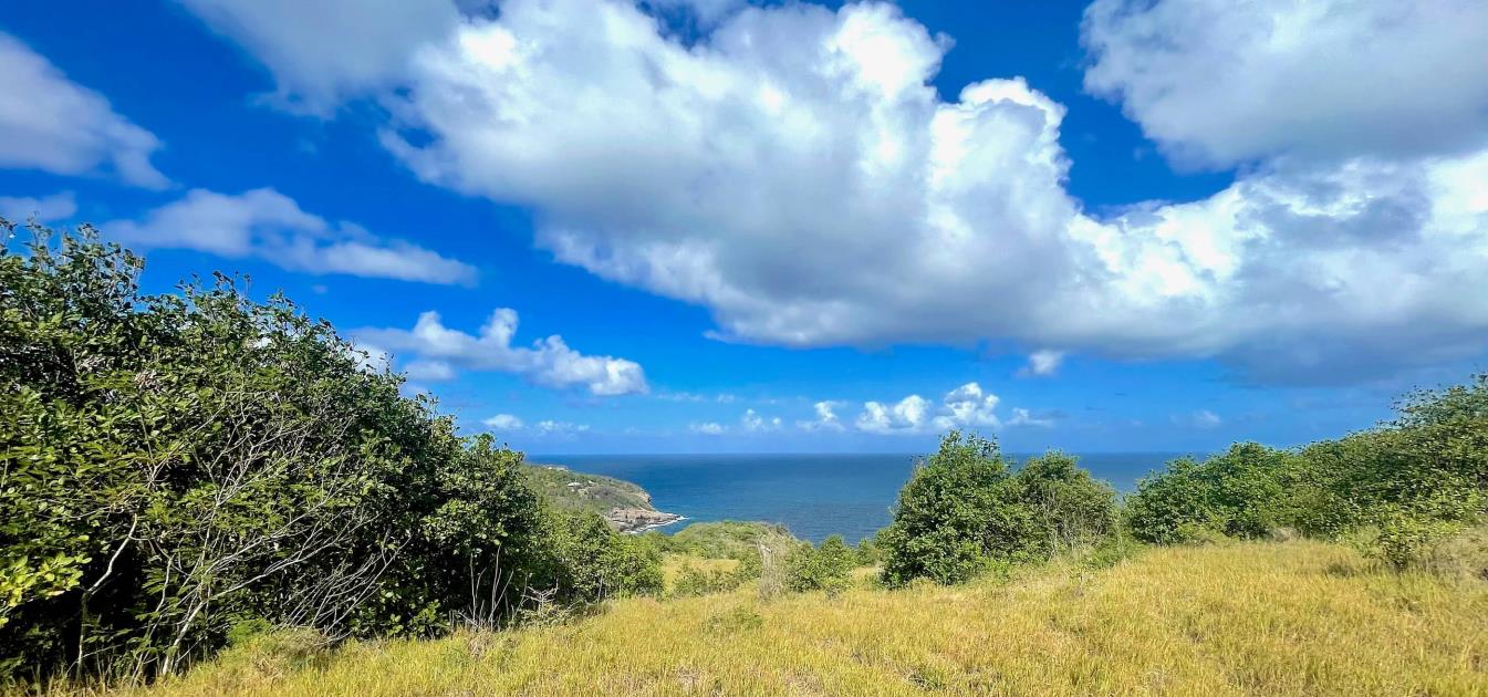 Mount Pleasant Land GR1634