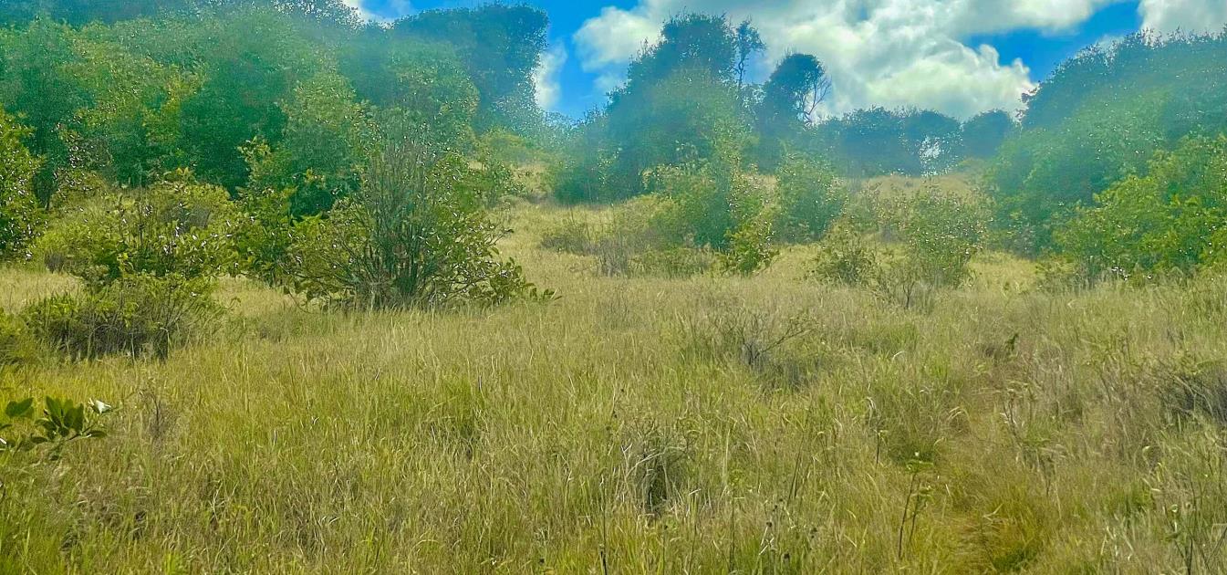 Mount Pleasant Land GR1634