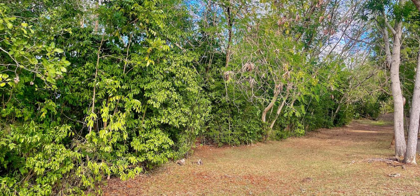 Mount Pleasant Land GR1637