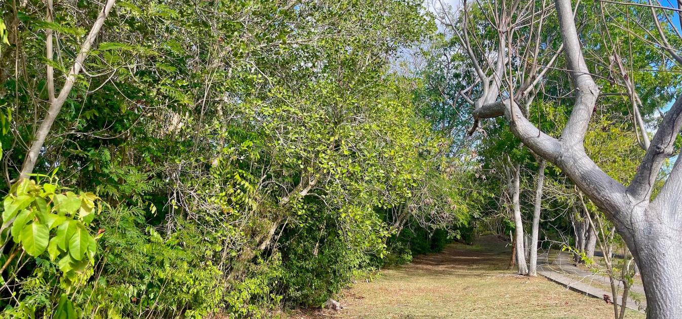 Mount Pleasant Land GR1637