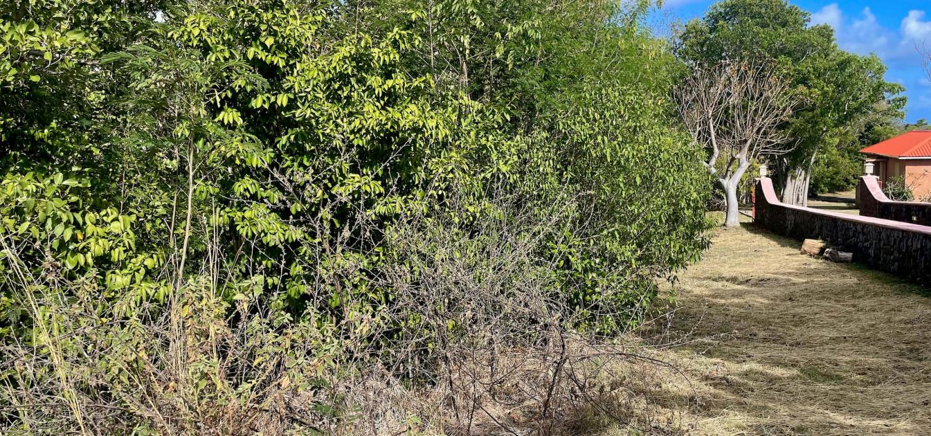 Mount Pleasant Land GR1637