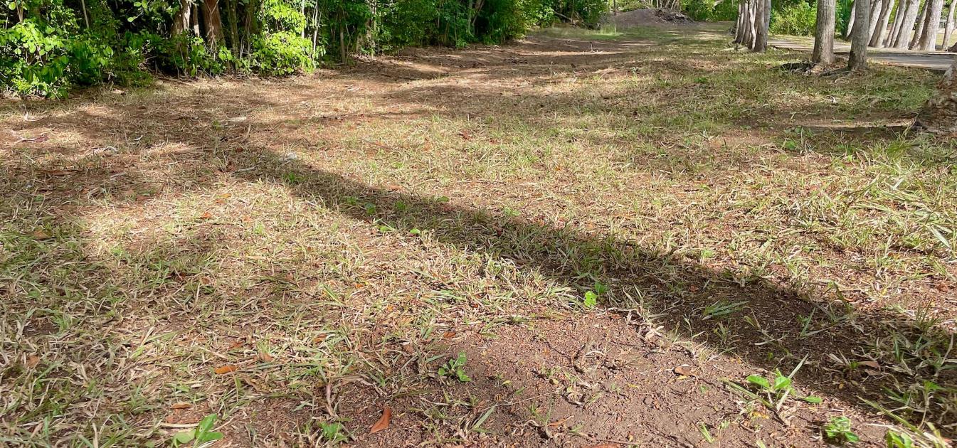 Mount Pleasant Land GR1637