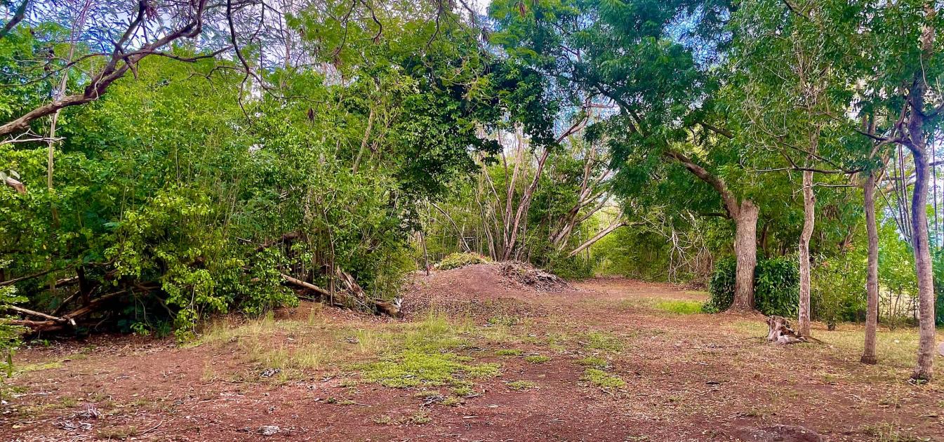 Mount Pleasant Land GR1637