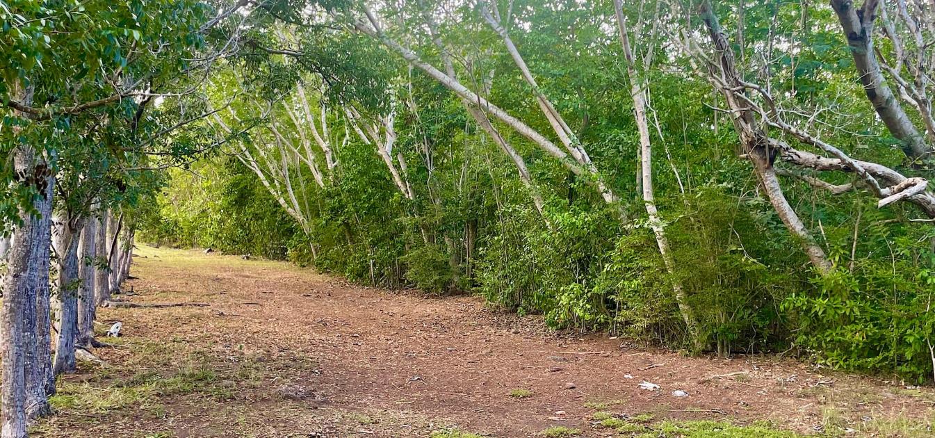 Mount Pleasant Land GR1637