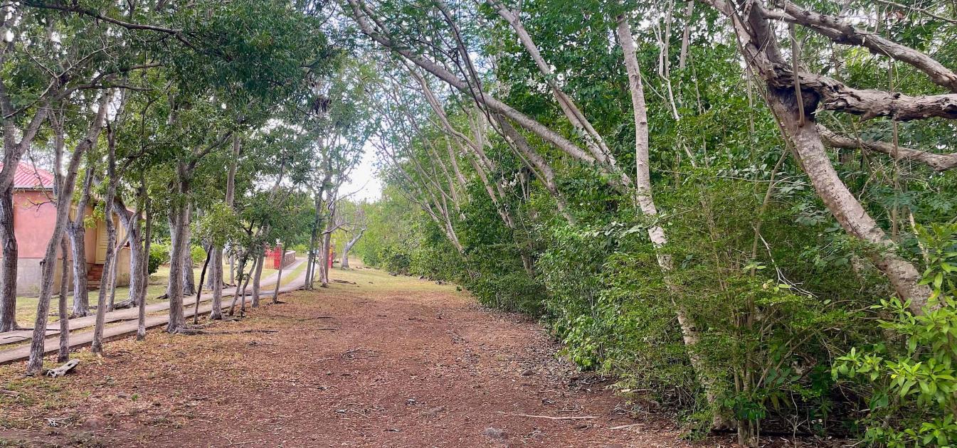 Mount Pleasant Land GR1637