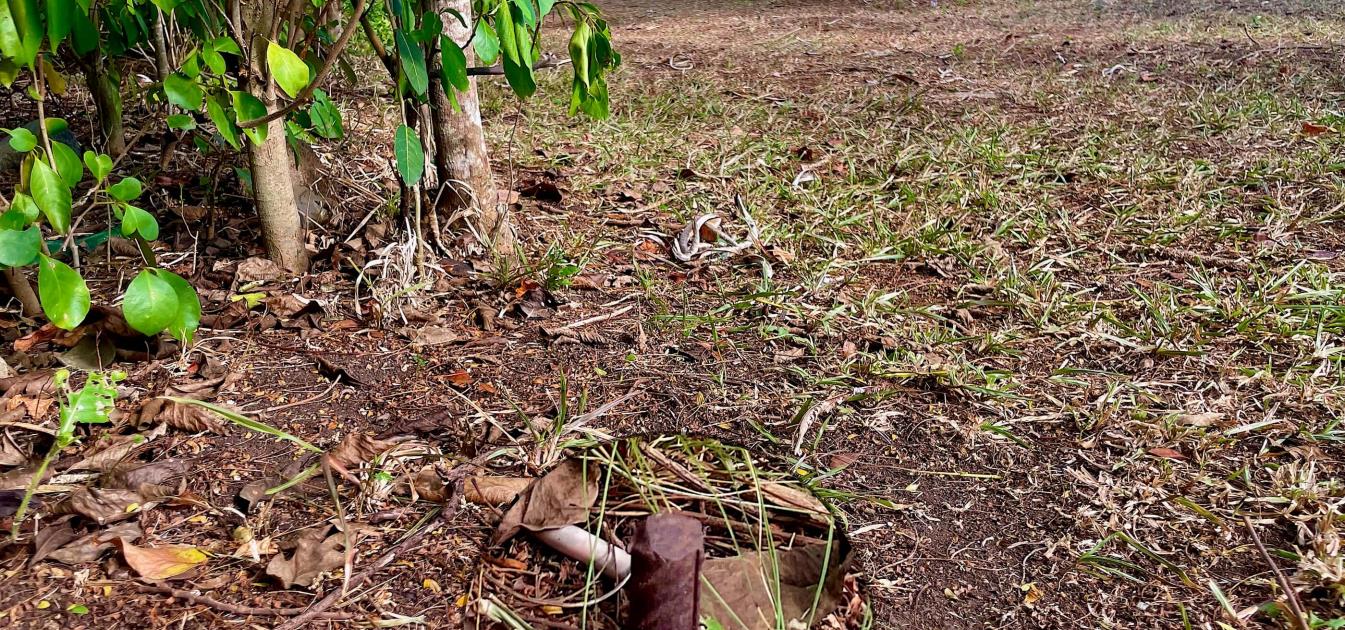 Mount Pleasant Land GR1637