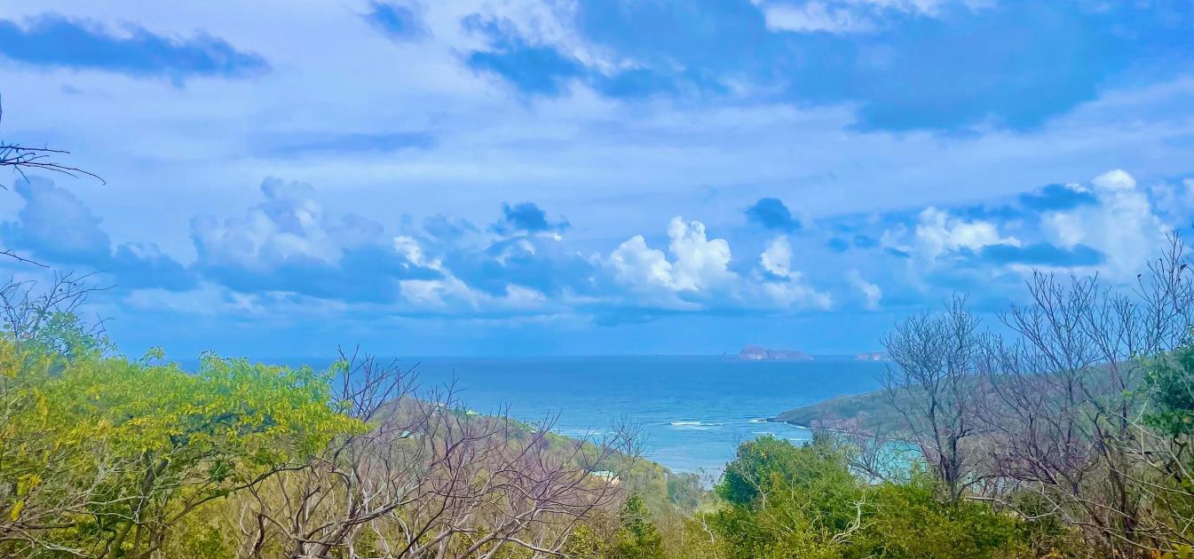 Spring Estate Lot 45