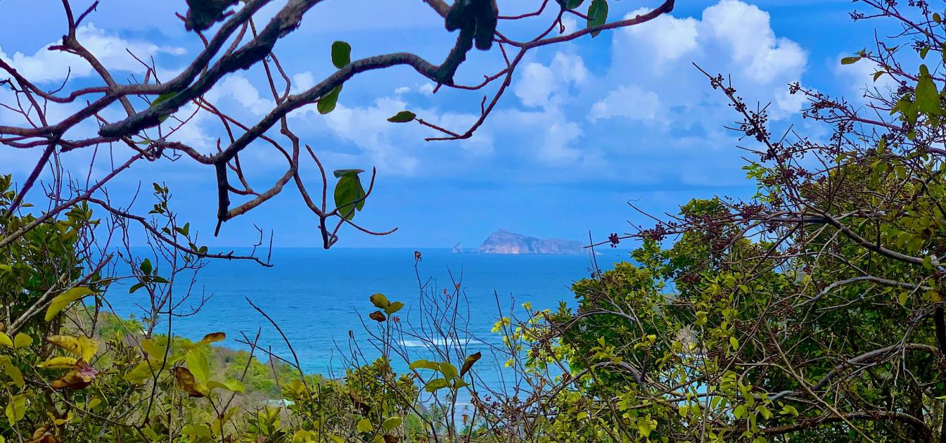 Spring Estate Lot 45