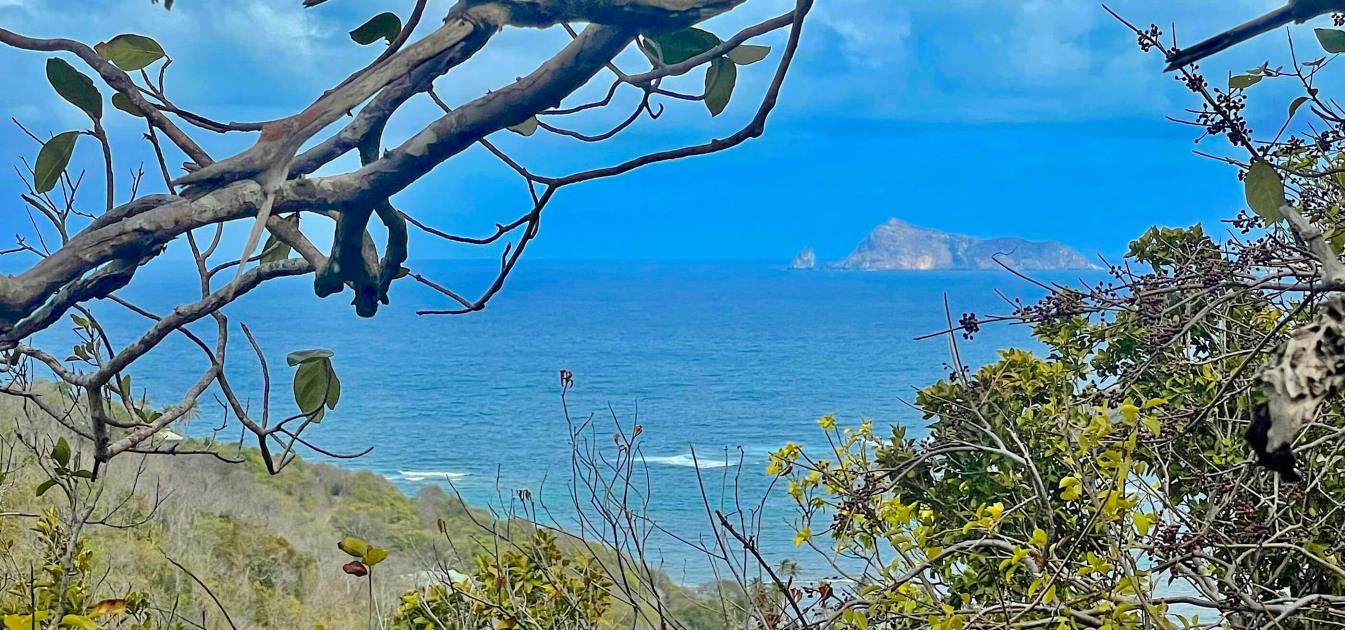 Spring Estate Lot 45