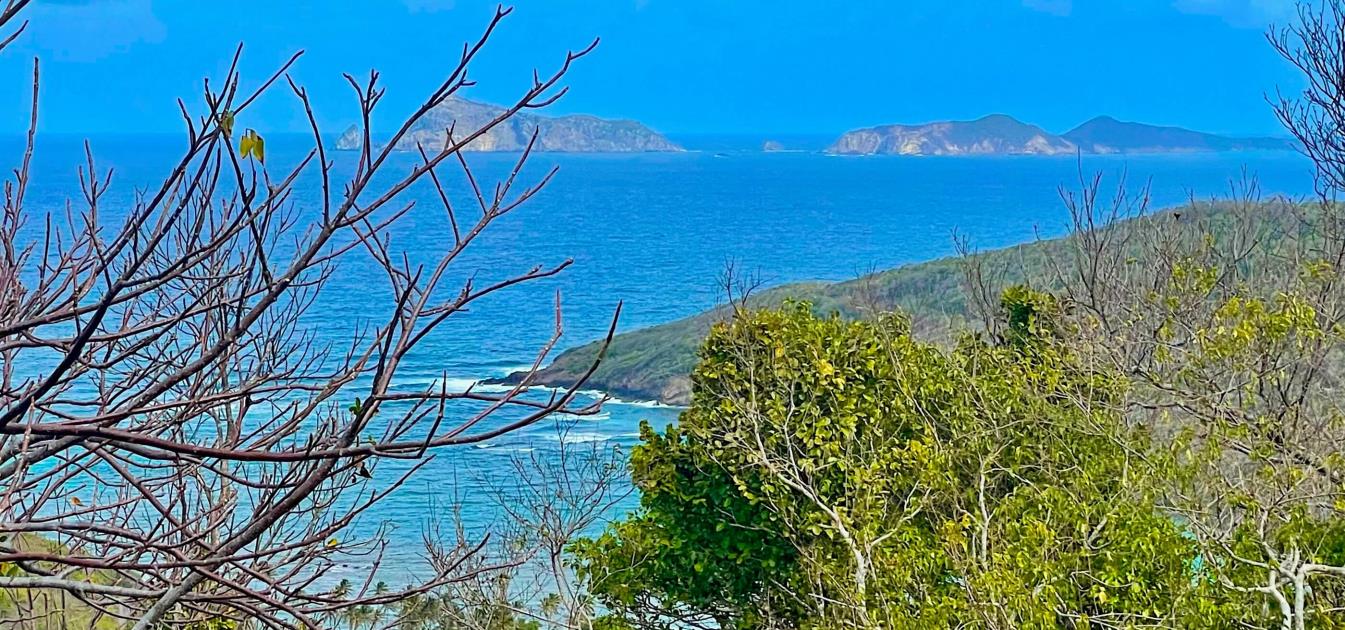 Spring Estate Lot 45