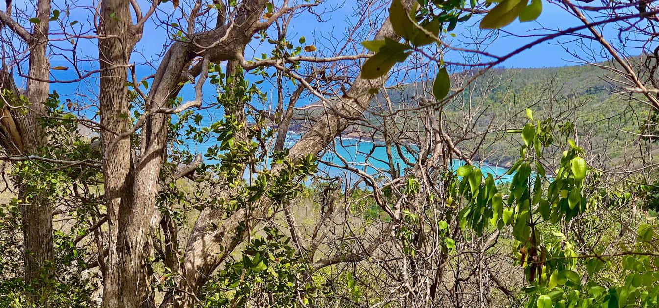 Spring Estate Lot 45