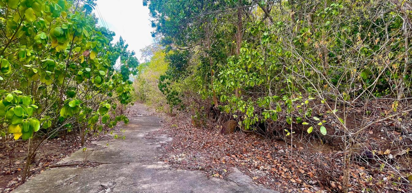 Spring Estate Lot 45