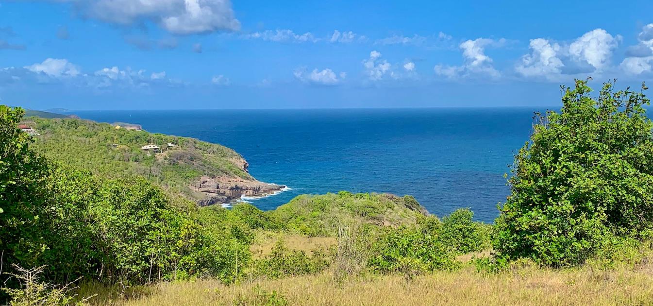 Mount Pleasant Land 7 Acres GR 508