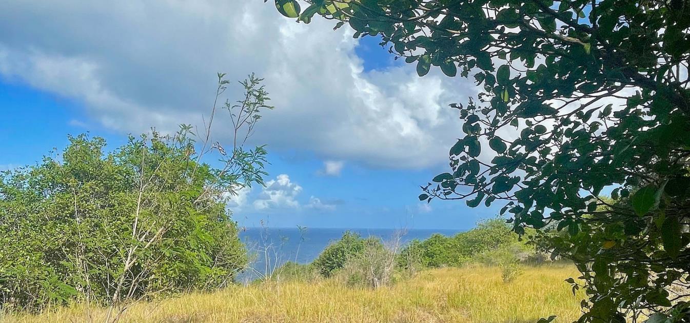 Mount Pleasant Land 7 Acres GR 508