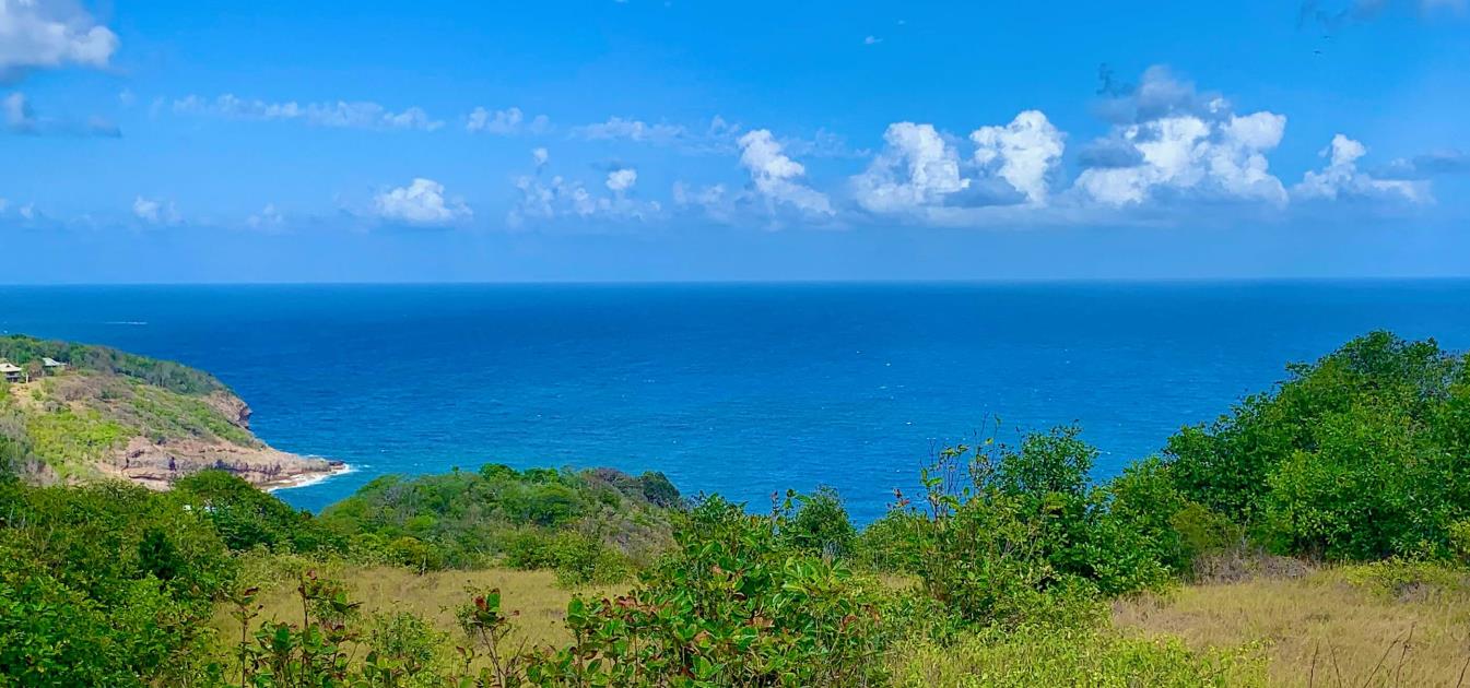 Mount Pleasant Land 7 Acres GR 508