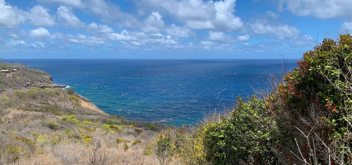 Mount Pleasant Land 7 Acres GR 508