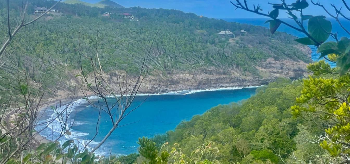 Mount Pleasant Land 7 Acres GR 508