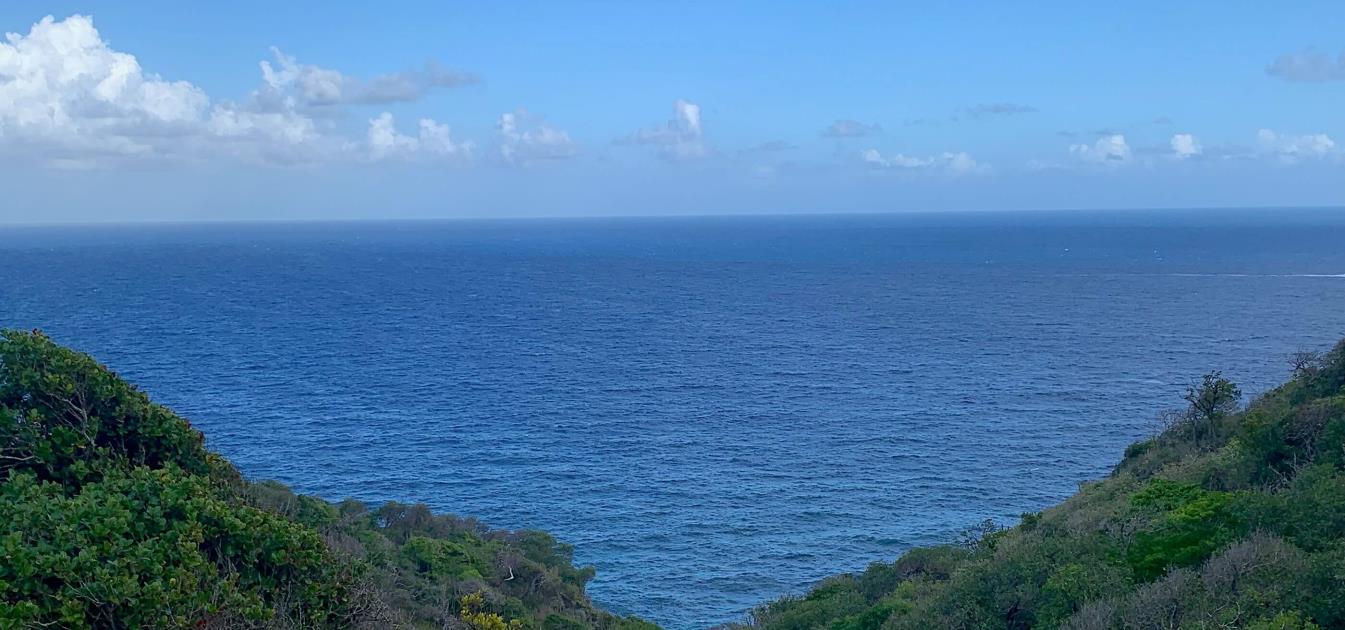 Mount Pleasant Land 7 Acres GR 508