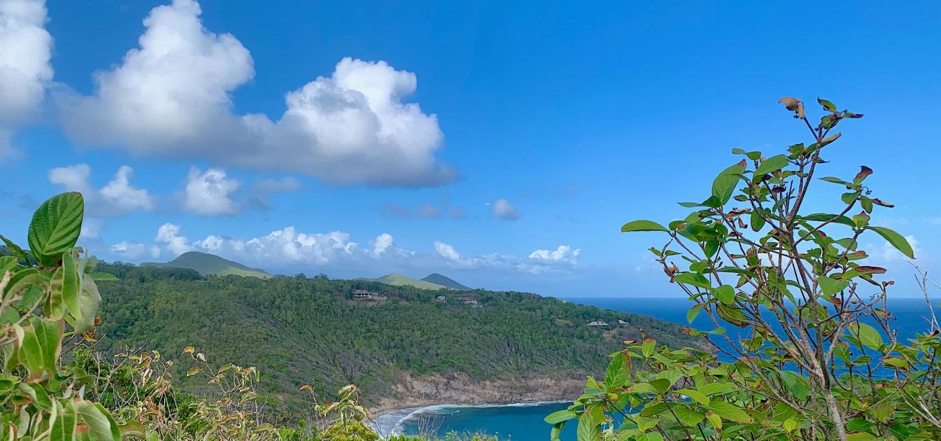 Mount Pleasant Land 7 Acres GR 508