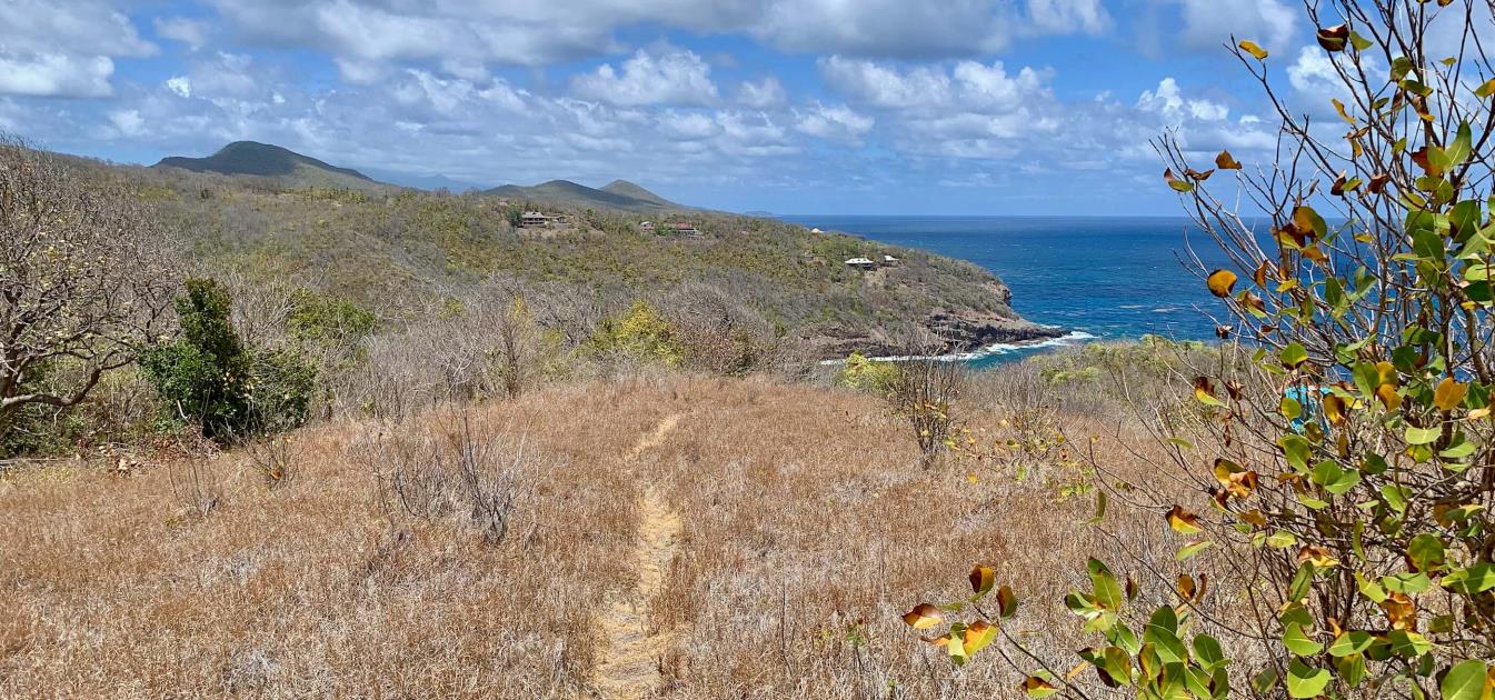 Mount Pleasant Land 7 Acres GR 508