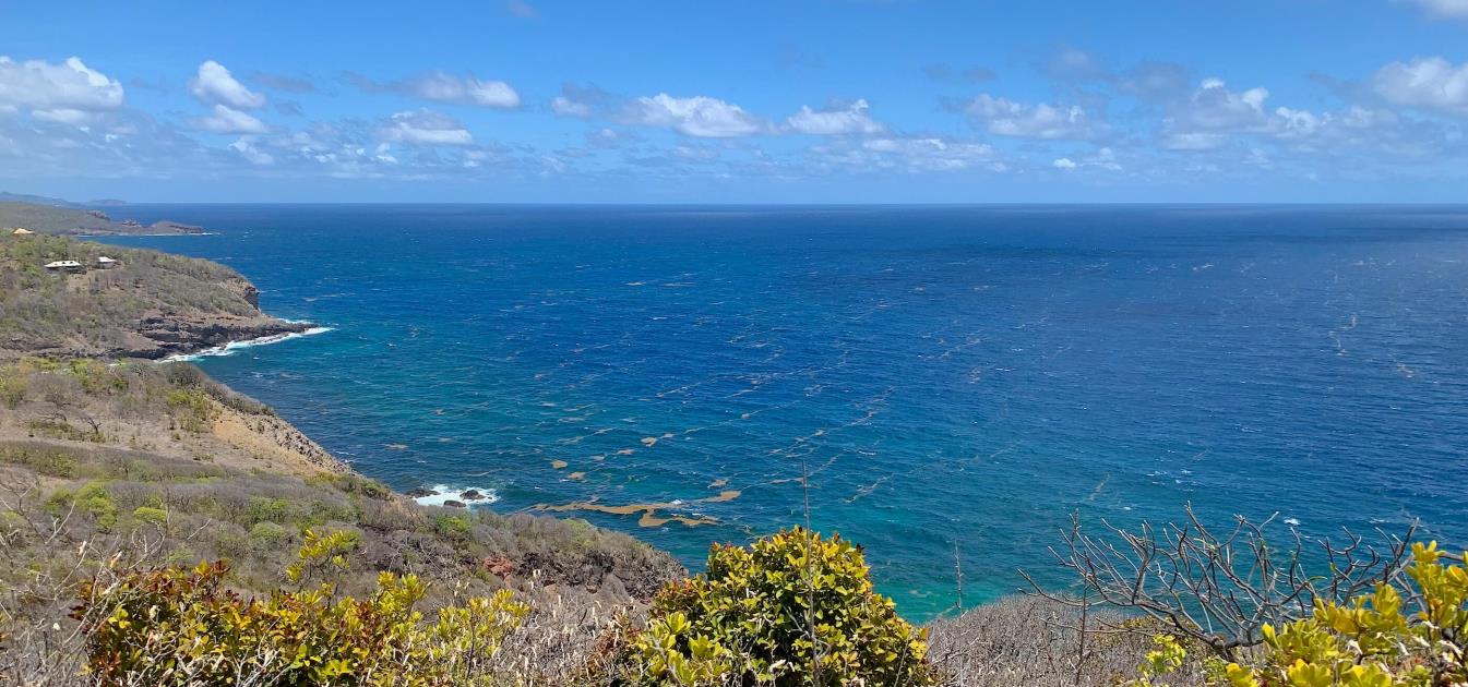 Mount Pleasant Land 7 Acres GR 508