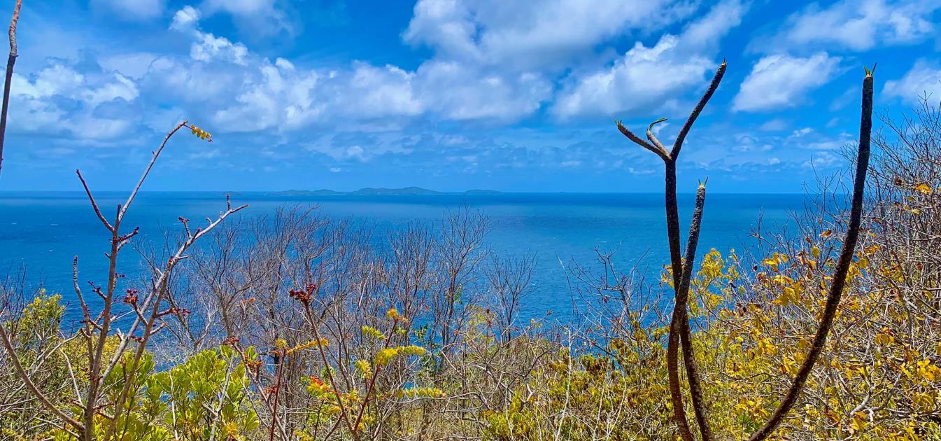 Mount Pleasant Land Plot 1 on GR1634