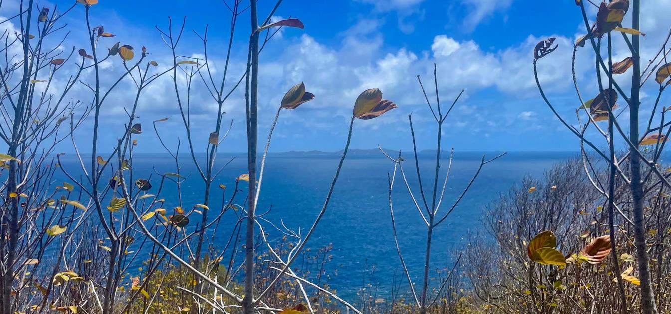 Mount Pleasant Land Plot 1 on GR1634