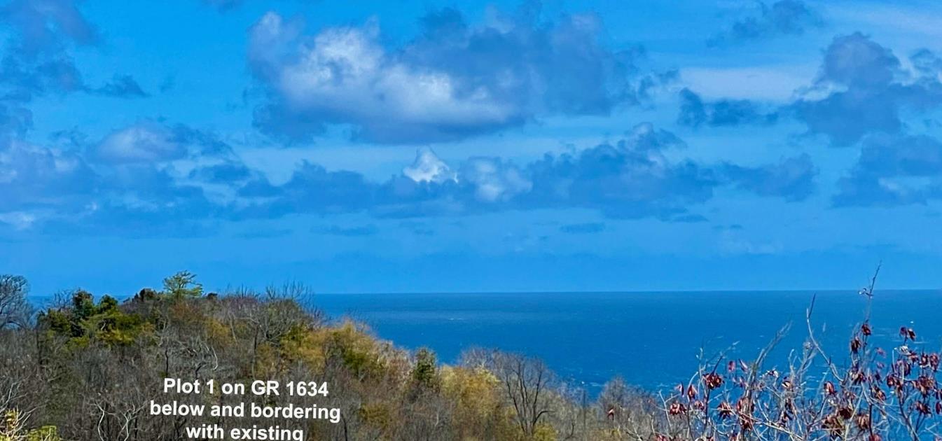 Mount Pleasant Land Plot 1 on GR1634