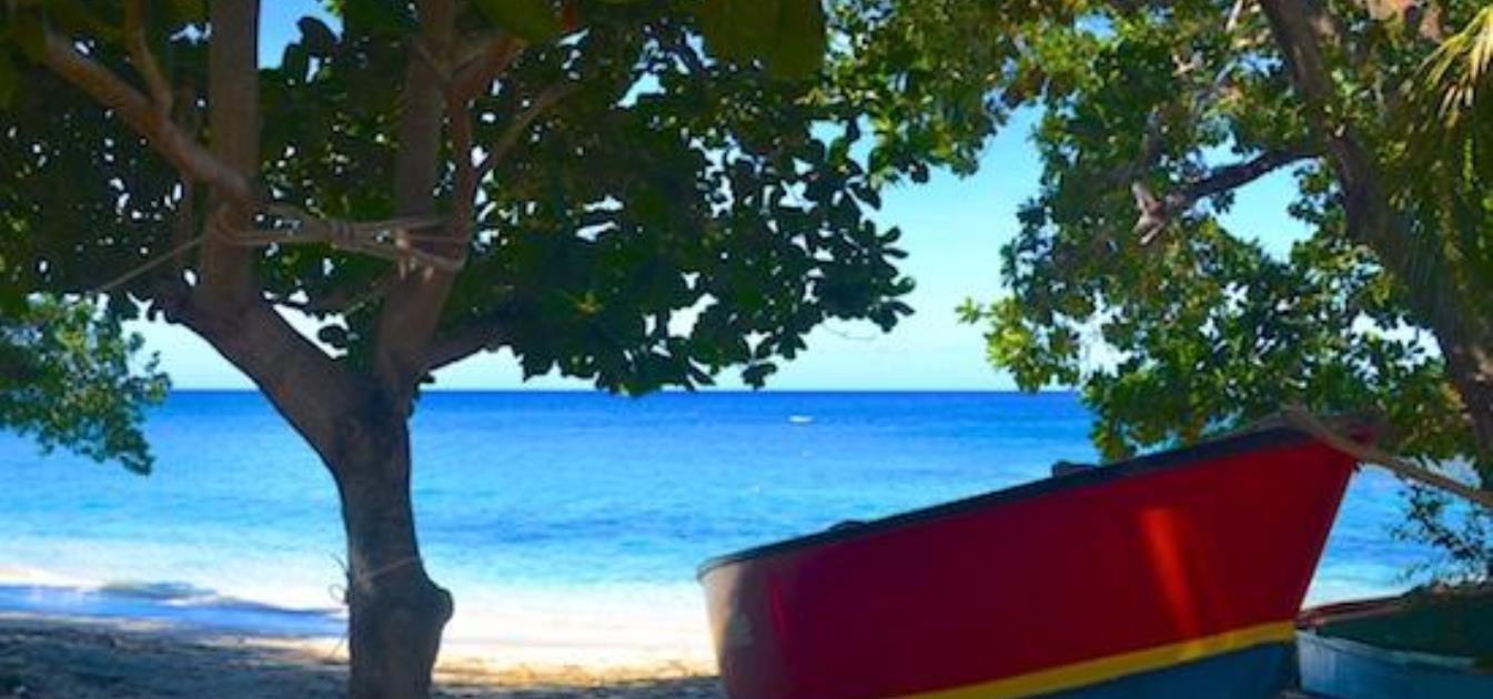 vacation-rentals/st-vincent-and-the-grenadines/bequia/lower-bay/keegan's-apartment-sea-urchin