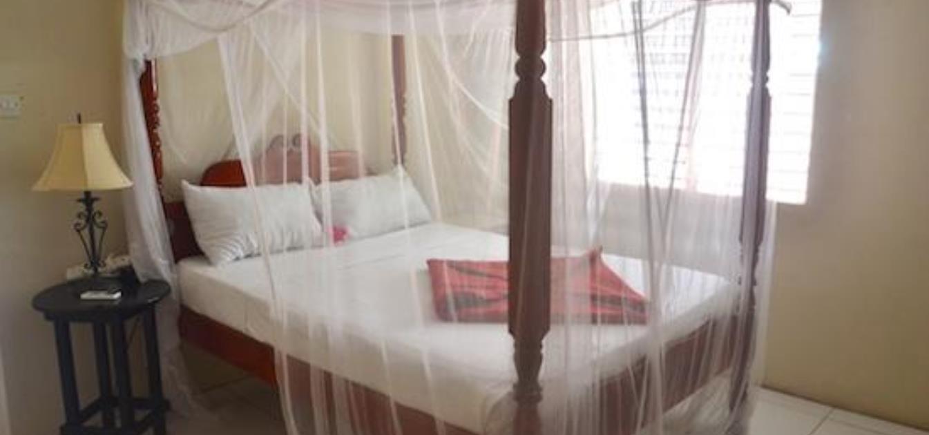 vacation-rentals/st-vincent-and-the-grenadines/bequia/lower-bay/keegan's-apartment-seahorse