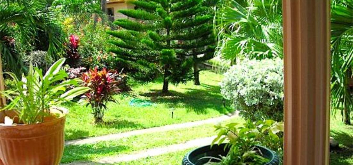 vacation-rentals/st-vincent-and-the-grenadines/bequia/lower-bay/keegan's-apartment-seahorse