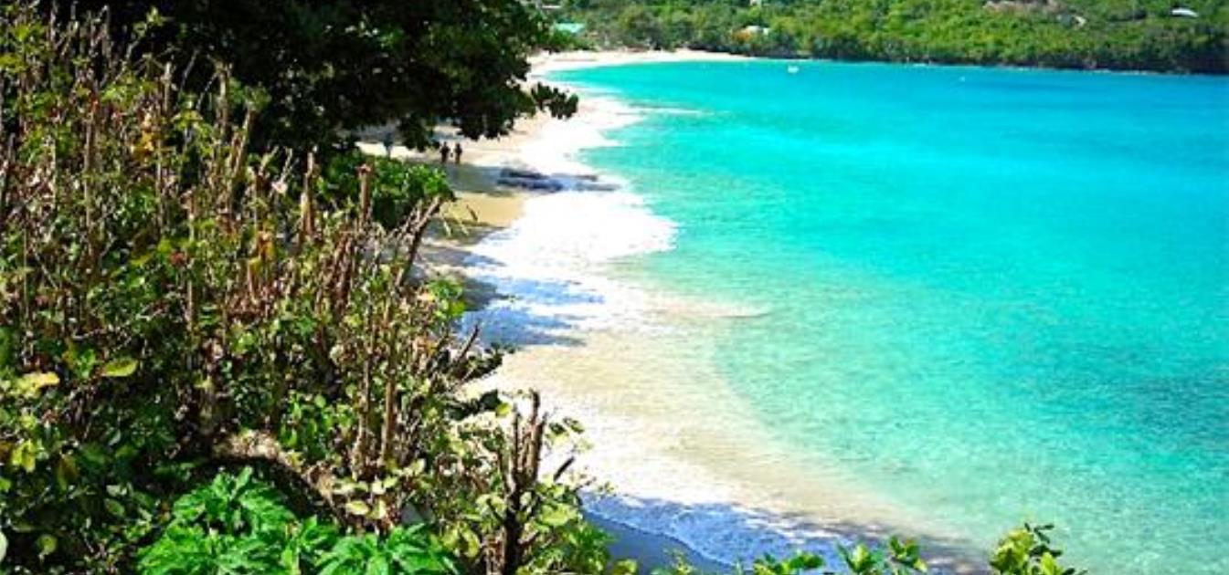 vacation-rentals/st-vincent-and-the-grenadines/bequia/lower-bay/keegan's-apartment-seahorse